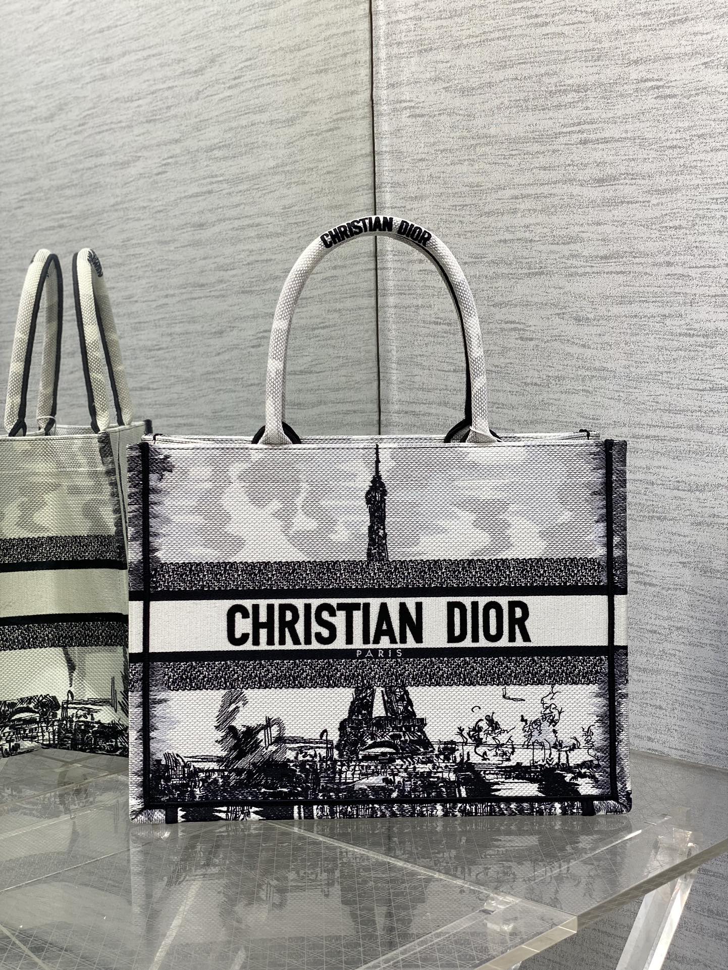 Medium Dior Book Tote Bag White and Black Paris Embroidery